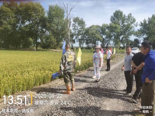 ͨ�ķ��r�Ƹ����;��׏ͺϷ���ˮ���ϵ�Ч�����F(xi��n)